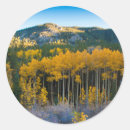 Search for aspen colorado stickers Anna miller