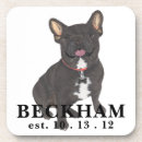 Search for french bulldog coasters Frenchie
