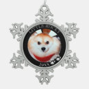 Search for snowflakes ornaments Pet