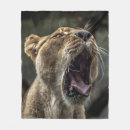 Search for lioness fleece blankets Yawning
