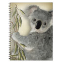 Search for koala notebooks Australian