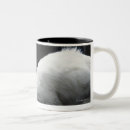 Search for cat food mugs Eating