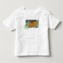 Search for disney brother bear Forest