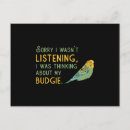 Search for budgie parakeet postcards Pet