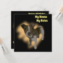 Recherche de jack russell birthday cards Terrier