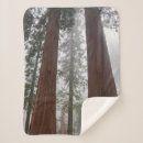 Search for danita delimont blankets Woods