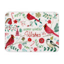 Recherche de oisseaux magnets Cardinal