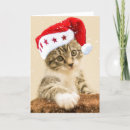 Search for photography business stationery Funny