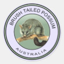 Search for possum stickers Marsupial