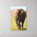 Search for game park art Animal