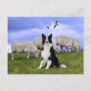 Search for on duty postcards Dog