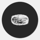 Search for florida fish stickers Reel