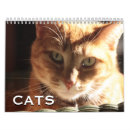 Search for orange cat calendars Feline