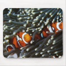 Search for windflower mousepads Animals