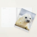 Search for seal planners Animals