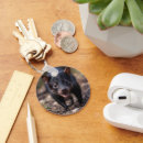 Search for tasmanian devils keychains Wildlife