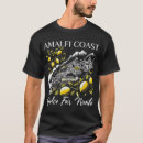 Search for amalfi coast tshirts Italy
