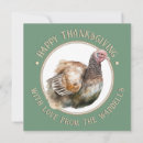 Search for turkey invitations Poultry