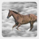 Search for outdoor activity stickers Speed