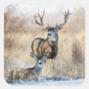 Search for buck and doe stickers Winter