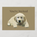 Search for golden retriever puppy invitations Party