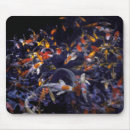 Recherche de koi tapis souris Fish