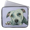 Search for pitbull cases Animal