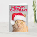 Search for tabby christmas cards Kitty