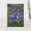 Recherche de denali vœux cartes Parc national denali