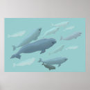 Search for beluga posters White