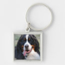 Search for bernese mountain dog keychains Dogs