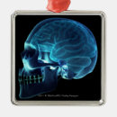 Search for human brain ornaments Horizontal