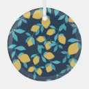 Recherche de agrume ornements Été
