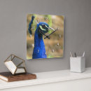 Search for white feather clocks Blue