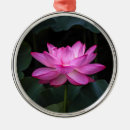 Search for lotus flower ornaments Floral