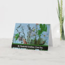 Recherche de grandparent Grandson