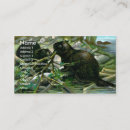 Recherche de castor cartes visite Faune