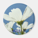 Search for white wings magnets Angel