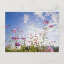 Search for prefecture postcards Outdoors