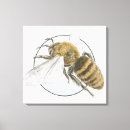 Search for honey bee canvas prints Insect