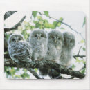 Search for classic camera mousepads Focus
