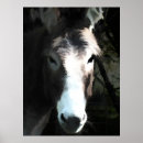 Search for donkey posters Animal