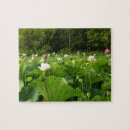 Search for lotus flower puzzles Floral