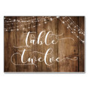 Search for 12 string Lights
