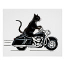 Search for tuxedo cat posters Cute