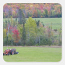 Search for bales stickers Fall
