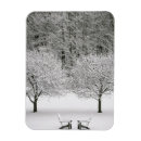 Recherche de neige couverte magnets Forêt