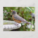 Recherche de cambriolage cartes postales Oiseau