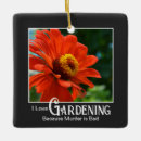 Search for daisy ornaments Garden