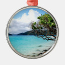 Search for st thomas ornaments Beach